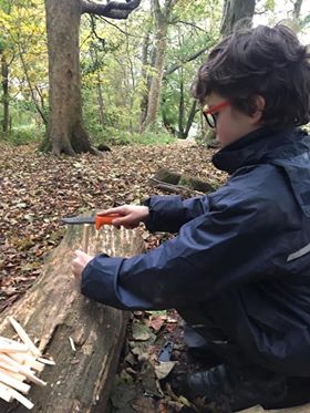 OSC - Cutting wood in the forest